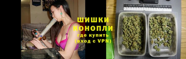 индика Краснослободск