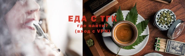 индика Краснослободск