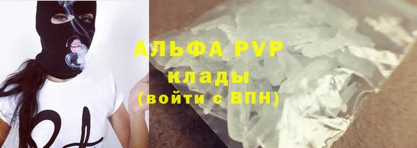 дмт Магас