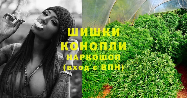 дмт Майский
