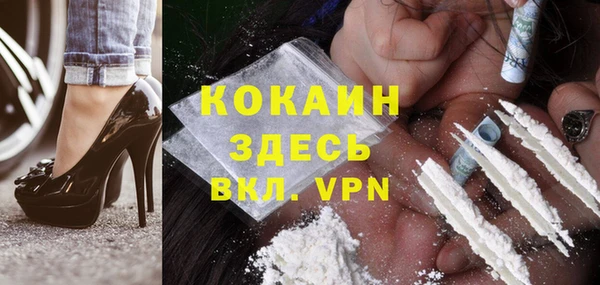 дмт Магас