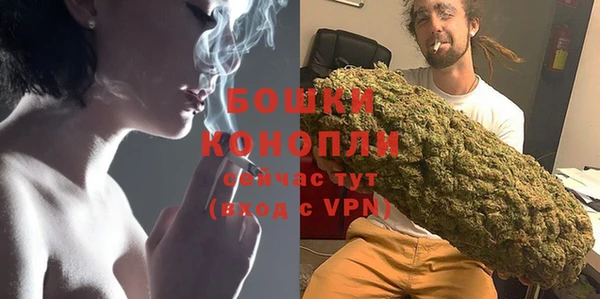 индика Краснослободск
