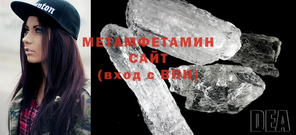 индика Краснослободск