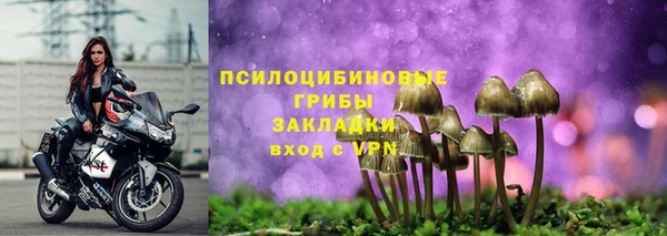 ешки Магадан