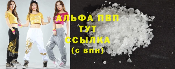 дмт Магас