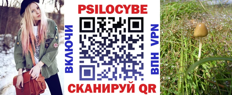 Галлюциногенные грибы прущие грибы  Славгород 