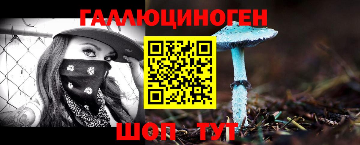 Галлюциногенные грибы MAGIC MUSHROOMS  Вход с VPN  Славгород 