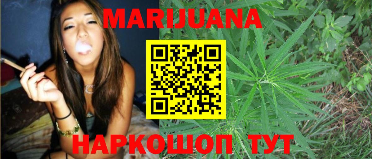 Конопля гибрид Славгород